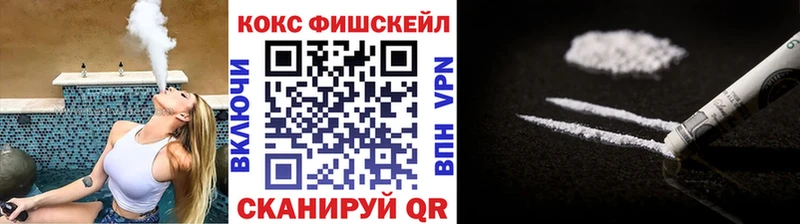 COCAIN Fish Scale цена Верхняя Салда
