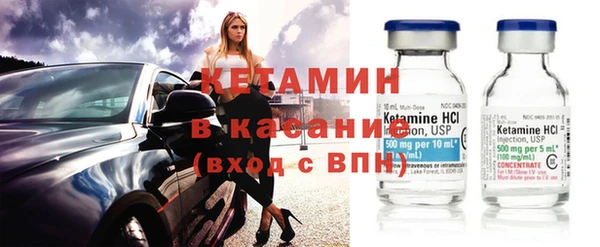 стаф Аркадак
