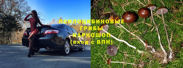 стаф Богородск