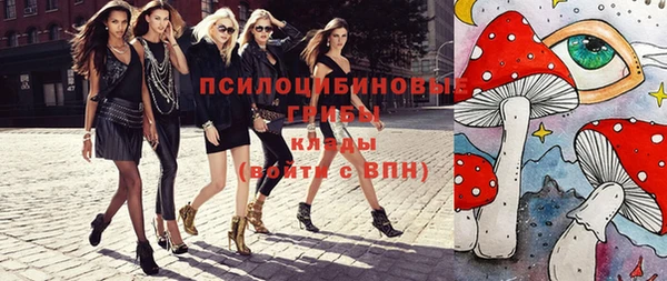 apvp Арсеньев