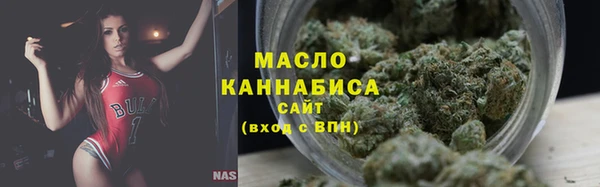 стаф Богородск