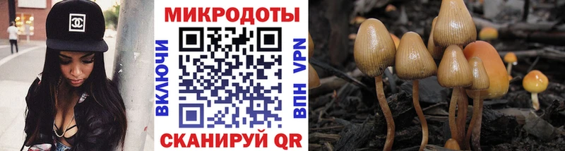 дарнет шоп  Верхняя Салда  Псилоцибиновые грибы Cubensis 